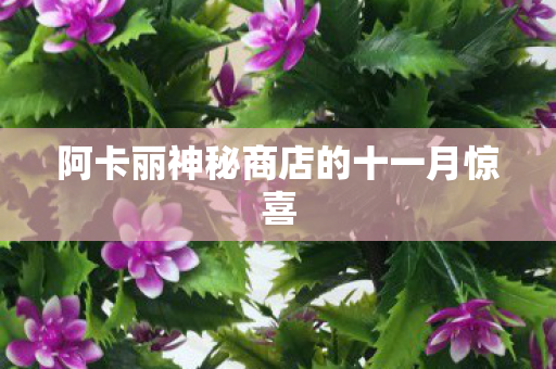 阿卡丽神秘商店的十一月惊喜