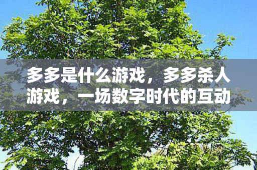 多多是什么游戏，多多杀人游戏，一场数字时代的互动狂欢与挑战