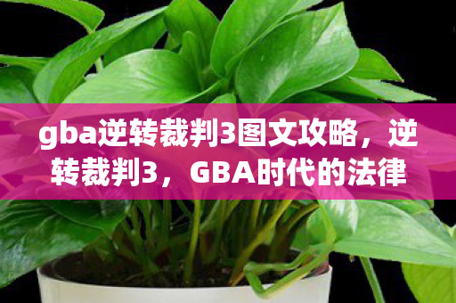 gba逆转裁判3图文攻略，逆转裁判3，GBA时代的法律与正义的较量