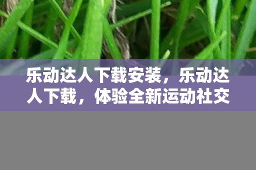 乐动达人下载安装，乐动达人下载，体验全新运动社交方式