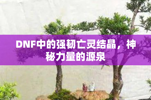 DNF中的强韧亡灵结晶，神秘力量的源泉
