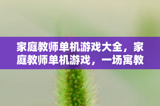 家庭教师单机游戏大全，家庭教师单机游戏，一场寓教于乐的教育之旅