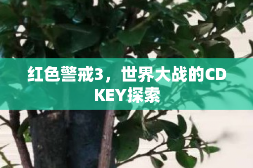 红色警戒3，世界大战的CDKEY探索