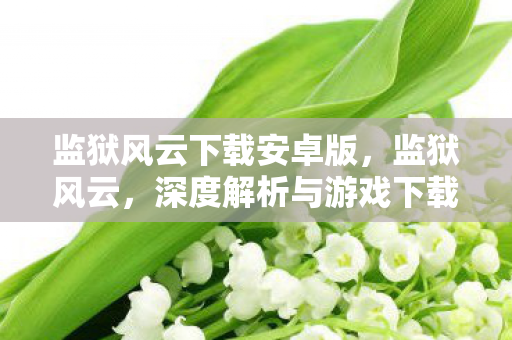 监狱风云下载安卓版，监狱风云，深度解析与游戏下载指南