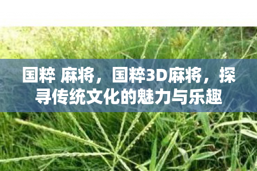 国粹 麻将，国粹3D麻将，探寻传统文化的魅力与乐趣