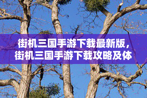 街机三国手游下载最新版，街机三国手游下载攻略及体验分享