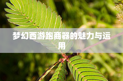 梦幻西游跑商器的魅力与运用