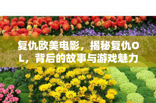 复仇欧美电影，揭秘复仇OL，背后的故事与游戏魅力