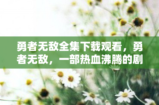 勇者无敌全集下载观看，勇者无敌，一部热血沸腾的剧集的全集下载及解析