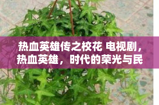 热血英雄传之校花 电视剧，热血英雄，时代的荣光与民族的骄傲