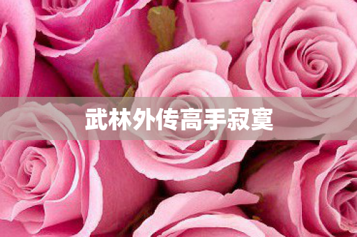 武林外传高手寂寞