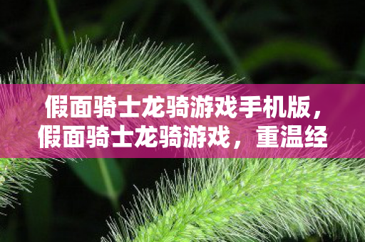 假面骑士龙骑游戏手机版，假面骑士龙骑游戏，重温经典，再战骑士荣耀