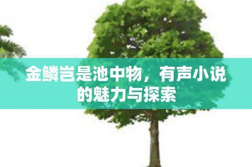 金鳞岂是池中物，有声小说的魅力与探索