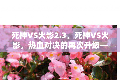 死神VS火影2.3，死神VS火影，热血对决的再次升级—2.3版本解析