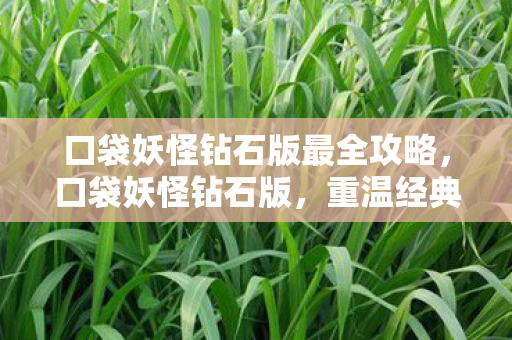 口袋妖怪钻石版最全攻略，口袋妖怪钻石版，重温经典，探索未知的世界