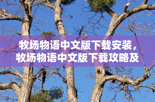 牧场物语中文版下载安装，牧场物语中文版下载攻略及游戏体验分享