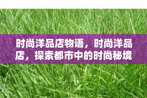 时尚洋品店物语，时尚洋品店，探索都市中的时尚秘境