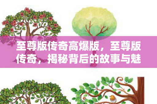 至尊版传奇高爆版，至尊版传奇，揭秘背后的故事与魅力