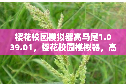 樱花校园模拟器高马尾1.039.01，樱花校园模拟器，高马尾的魅力与时尚风潮