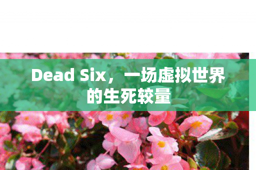 Dead Six，一场虚拟世界的生死较量
