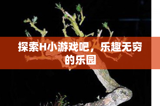 探索H小游戏吧，乐趣无穷的乐园
