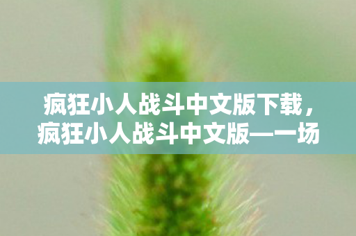 疯狂小人战斗中文版下载，疯狂小人战斗中文版—一场别开生面的竞技盛宴