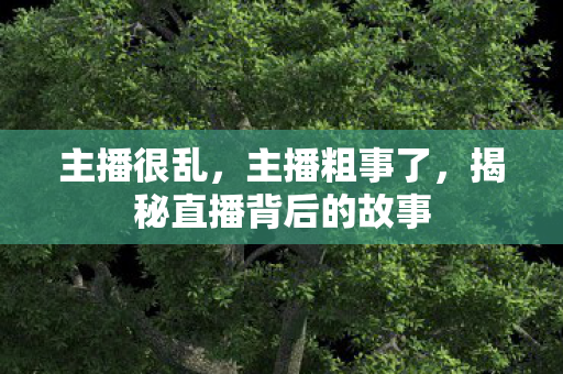主播很乱，主播粗事了，揭秘直播背后的故事