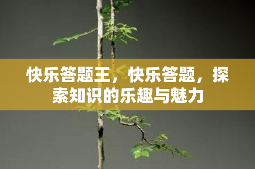 快乐答题王，快乐答题，探索知识的乐趣与魅力