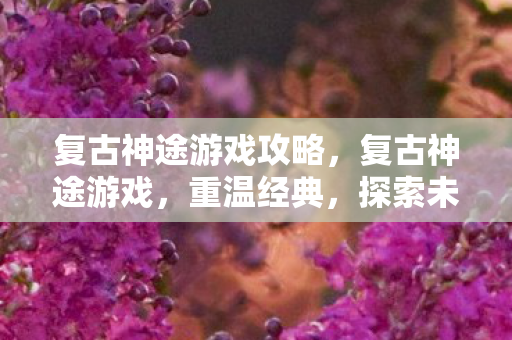 复古神途游戏攻略，复古神途游戏，重温经典，探索未知的游戏世界