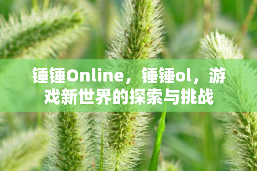 锤锤Online，锤锤ol，游戏新世界的探索与挑战