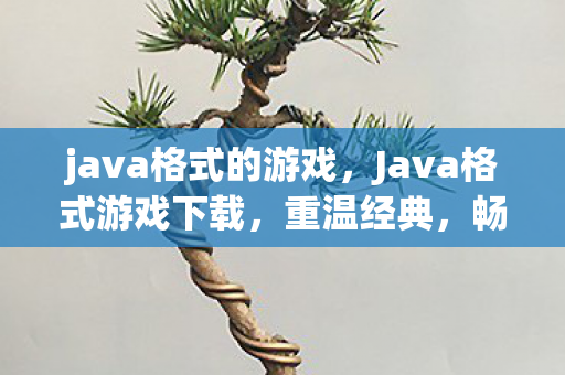 java格式的游戏，Java格式游戏下载，重温经典，畅享游戏乐趣