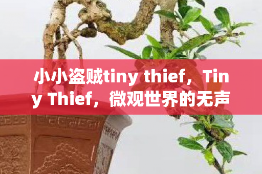 小小盗贼tiny thief，Tiny Thief，微观世界的无声大盗