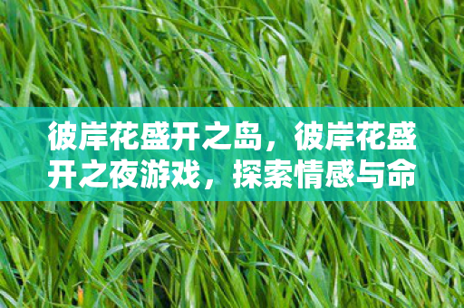 彼岸花盛开之岛，彼岸花盛开之夜游戏，探索情感与命运的神秘旅程