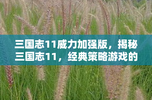 三国志11威力加强版，揭秘三国志11，经典策略游戏的深度解析