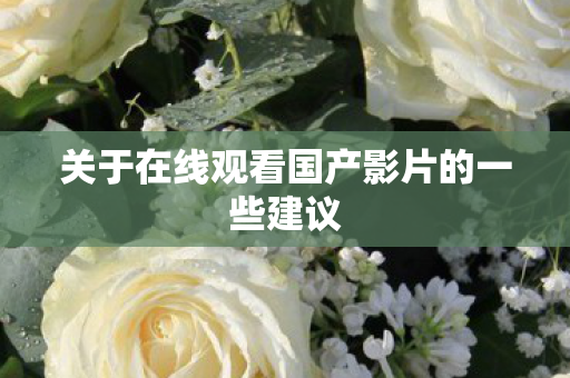 关于在线观看国产影片的一些建议