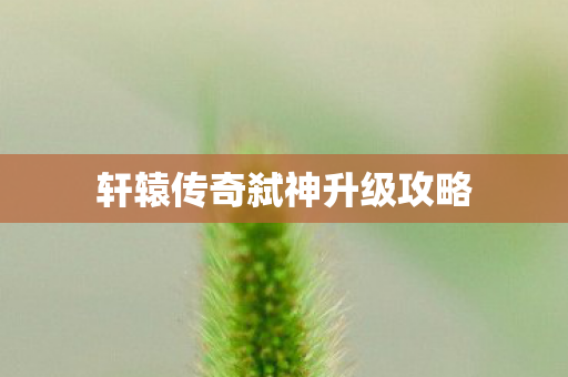 轩辕传奇弑神升级攻略