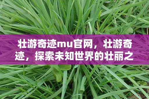 壮游奇迹mu官网，壮游奇迹，探索未知世界的壮丽之旅