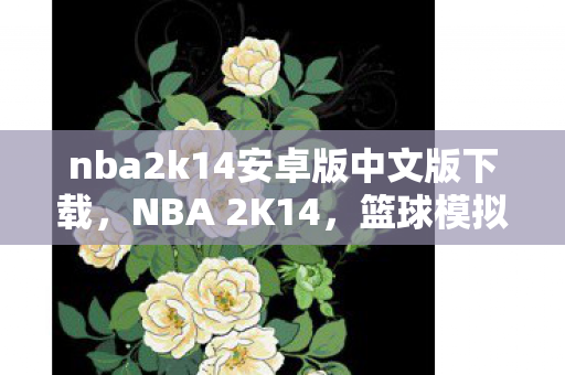 nba2k14安卓版中文版下载，NBA 2K14，篮球模拟游戏的巅峰之作