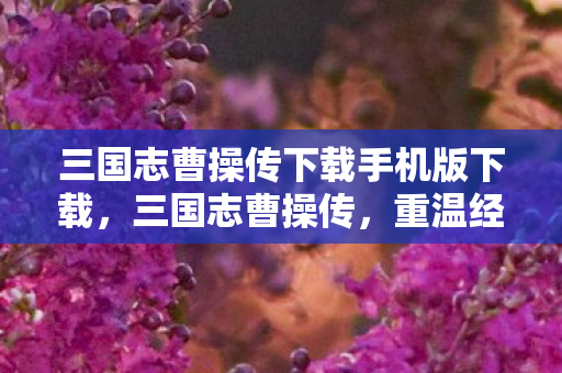 三国志曹操传下载手机版下载，三国志曹操传，重温经典，探寻英雄之路