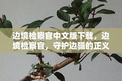 边境检察官中文版下载，边境检察官，守护边疆的正义使者