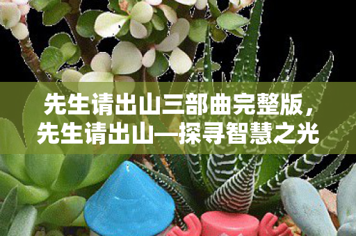 先生请出山三部曲完整版，先生请出山—探寻智慧之光的旅程