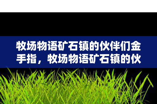 牧场物语矿石镇的伙伴们金手指，牧场物语矿石镇的伙伴们，一段关于友谊、成长与梦想的旅程