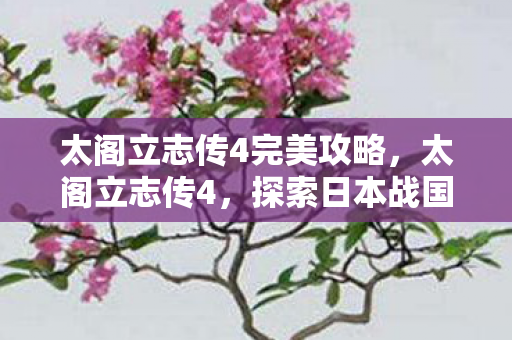 太阁立志传4完美攻略，太阁立志传4，探索日本战国时代的传奇故事