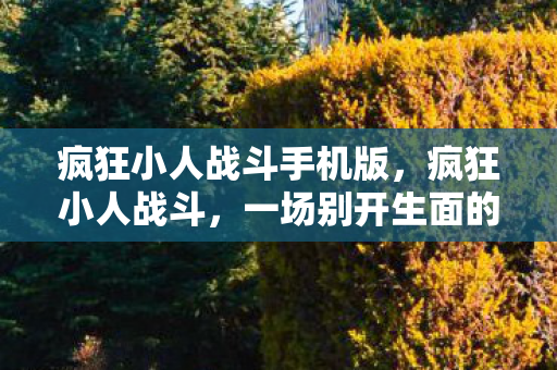 疯狂小人战斗手机版，疯狂小人战斗，一场别开生面的冒险之旅