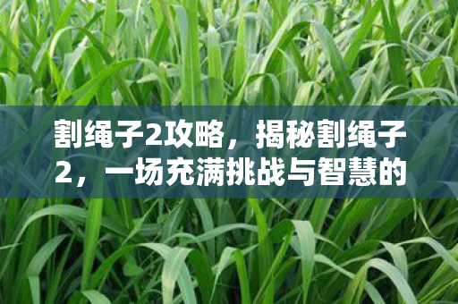 割绳子2攻略，揭秘割绳子2，一场充满挑战与智慧的冒险之旅