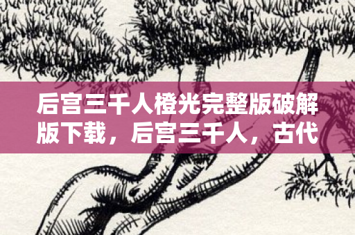 后宫三千人橙光完整版破解版下载，后宫三千人，古代帝王背后的纷繁世界