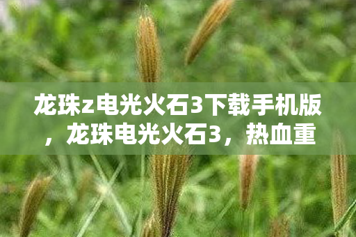 龙珠z电光火石3下载手机版，龙珠电光火石3，热血重燃的斗士之魂