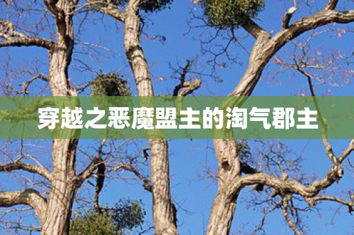 穿越之恶魔盟主的淘气郡主