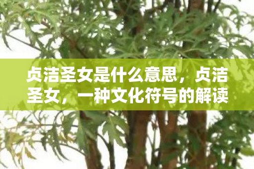 贞洁圣女是什么意思，贞洁圣女，一种文化符号的解读与反思