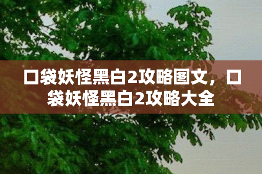 口袋妖怪黑白2攻略图文，口袋妖怪黑白2攻略大全